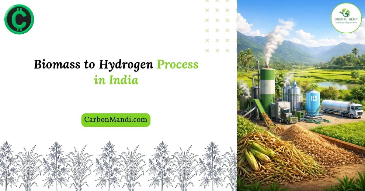 Biomass To Hydrogen Process India: Your 2026 Roadmap