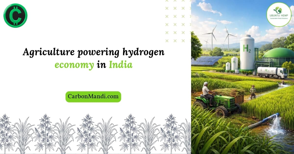 How Agriculture Can Power the Hydrogen Economy in India