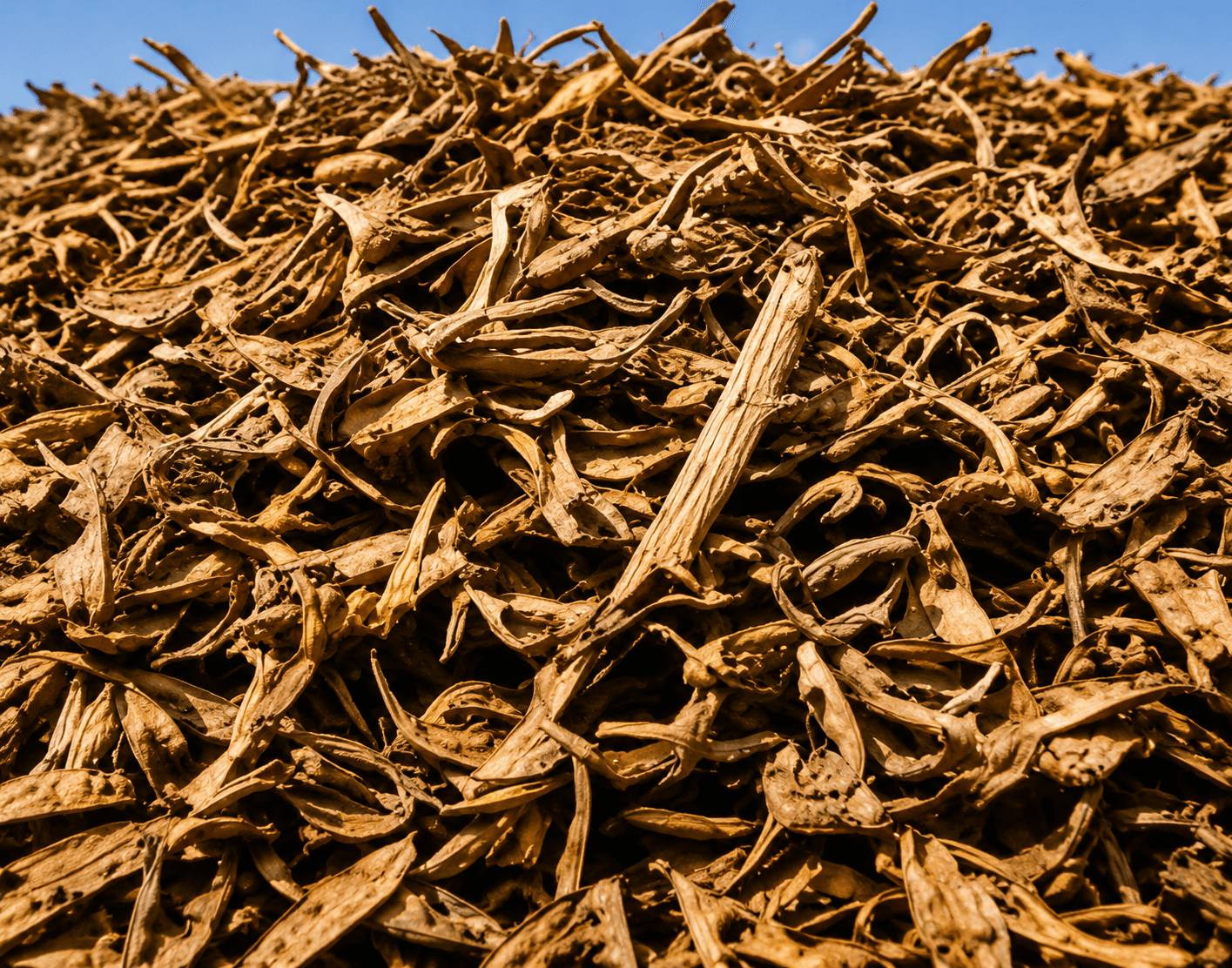 Mixed agricultural crop residue and stubble — responsibly sourced biomass.