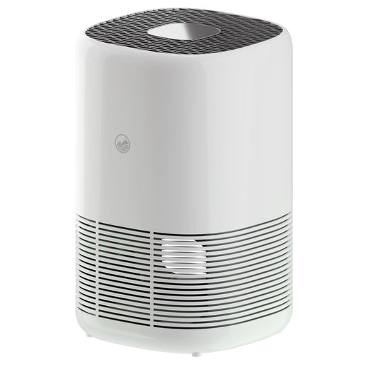 BigWater Room Air Purifier