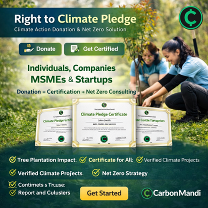 Climate Action Donation & Net Zero Enablement Solution
