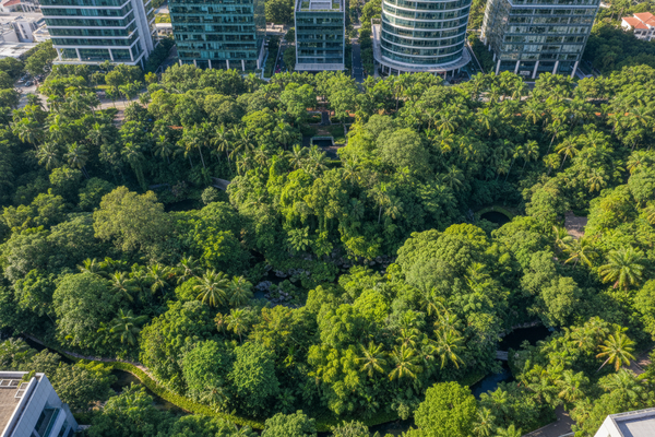 green forest belts which are build outside hotels n offices